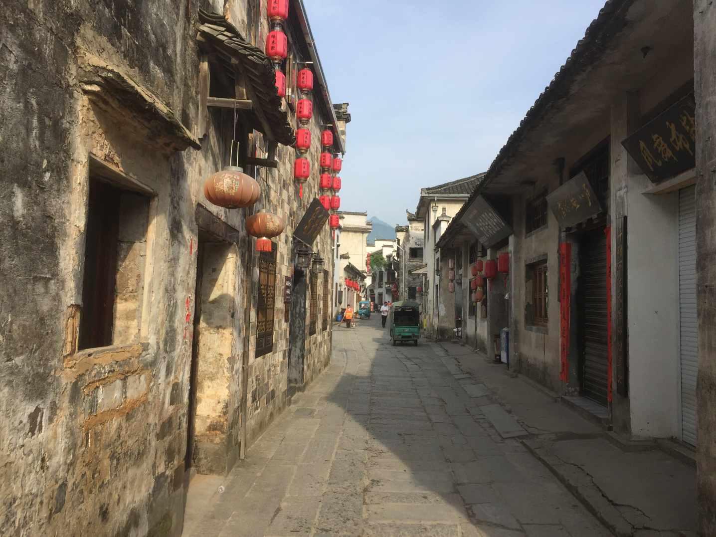 板蓝根真的有抗病毒作用？这个神话到底何时才能走下神坛！